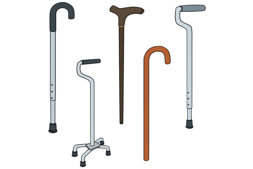 Sample cane types